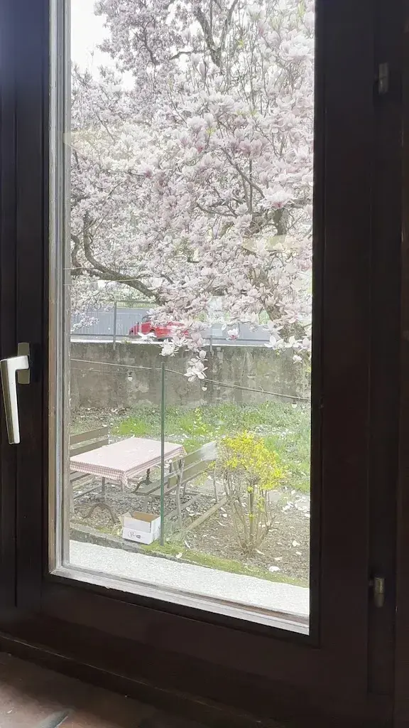 Silvio Schembri_Grotto Ponte Vecchio_Camorino_review