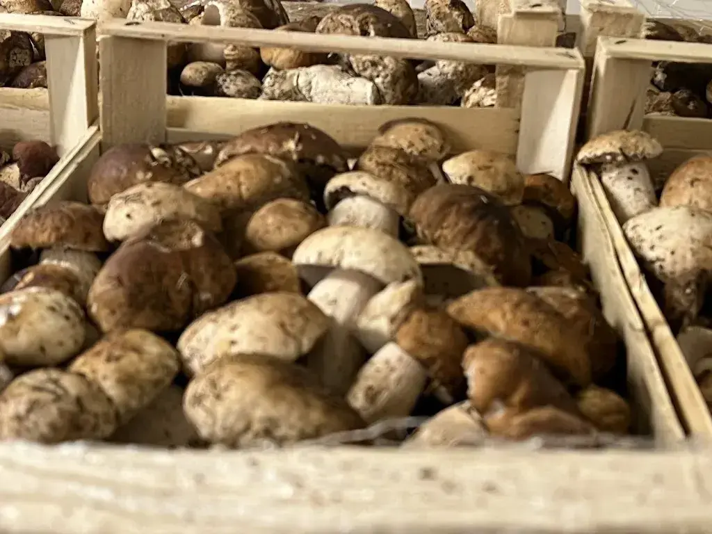 Menu_Ristorante Grotto Ostini_Claro_image_8