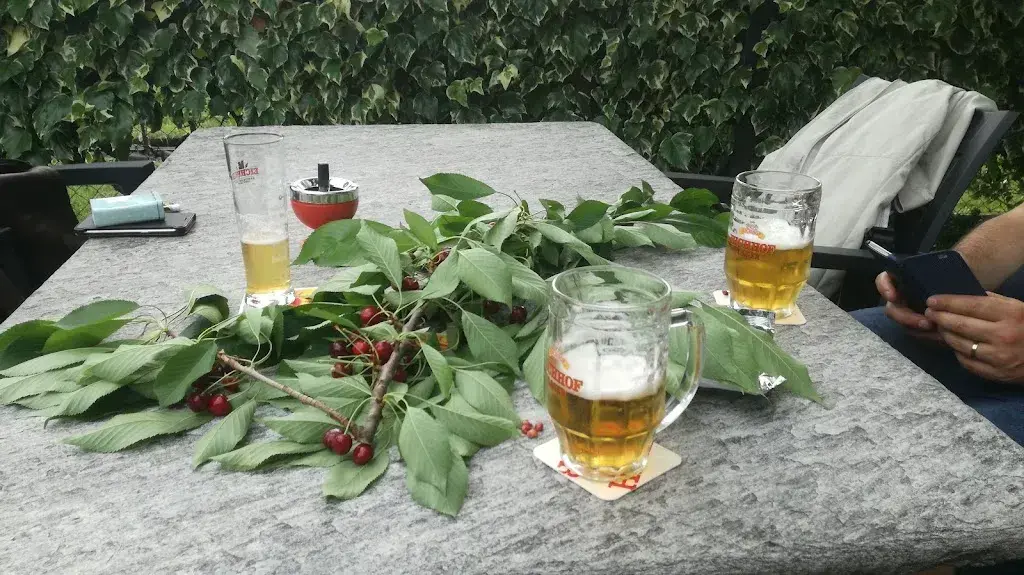 Menu_Osteria della Bett_Bellinzona_imagen_1