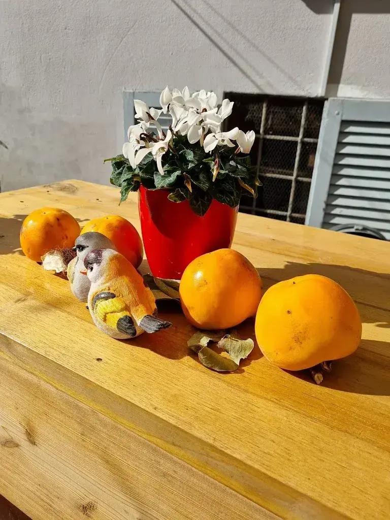 Menu_Osteria della Bett_Bellinzona_imagen_4