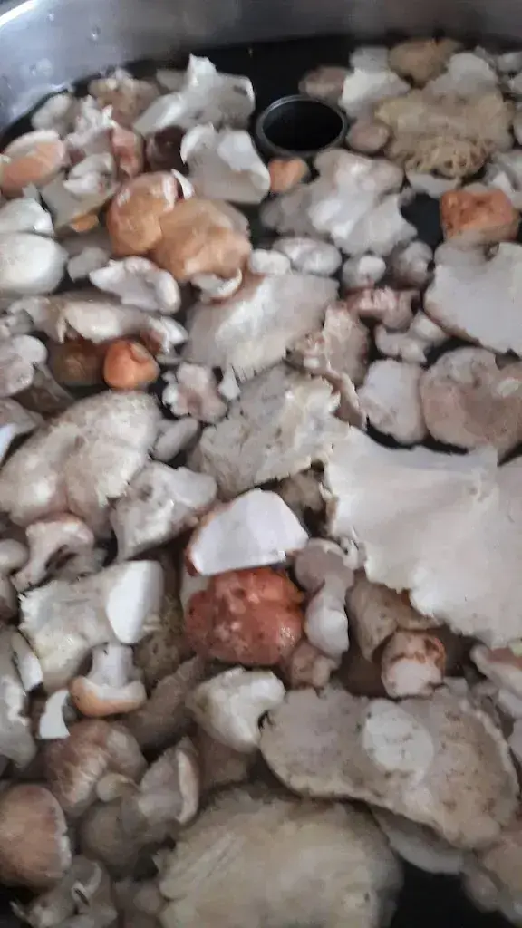 Menu_Osteria del Ponte da 