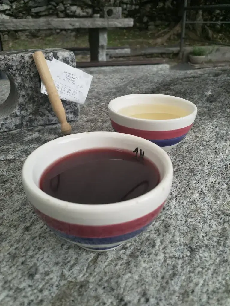 Menu_Grotto Efra_Sonogno_image_9