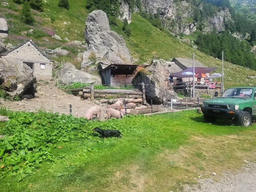 christian locher_Alpe Carassina_Blenio_review