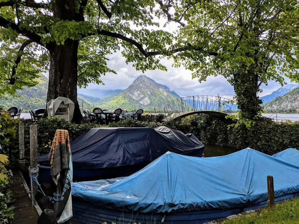 Evan Oman_Hafepintli_Därligen_review