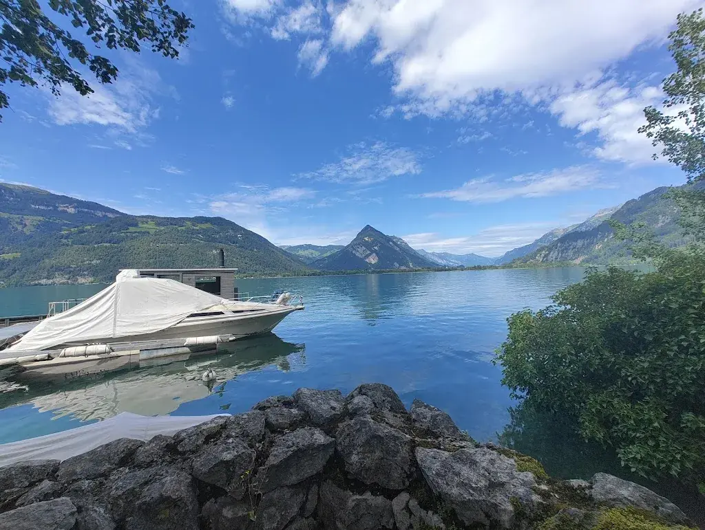 Arjan de Ridder_Hafepintli_Därligen_review