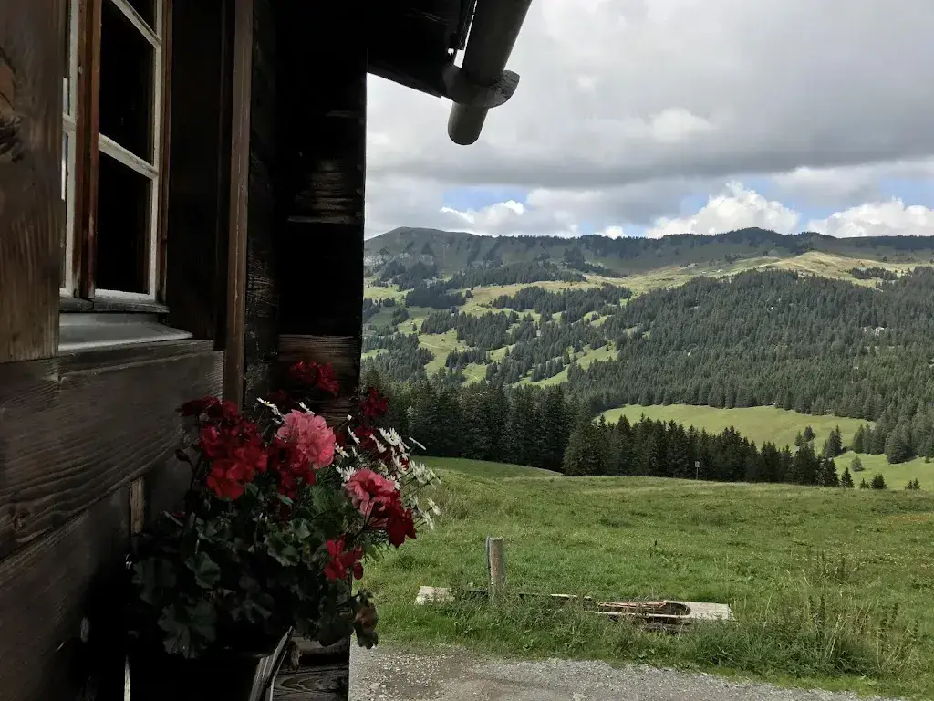 strannizza_Refuge de Taveyanne_Gryon_review