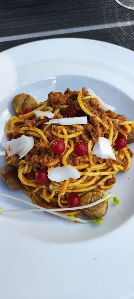 Marc Defilippi_Hotel des Alpes_Dalpe_review