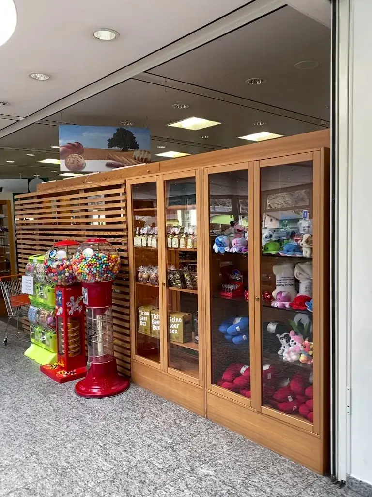 Anh Tung Vu_Ristorante Area di servizio Ambrì-Piotta_Quinto_review