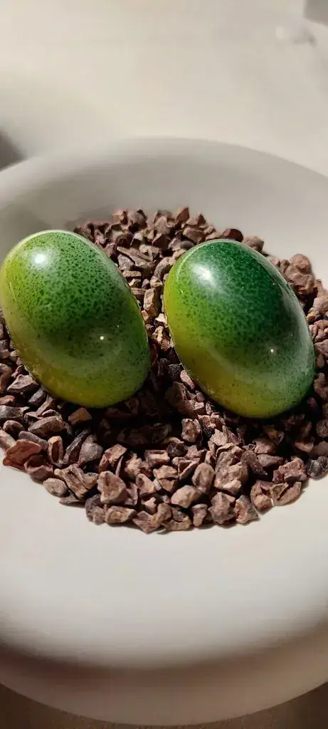 Menu_Restaurant Eden Roc_Ascona_image_9