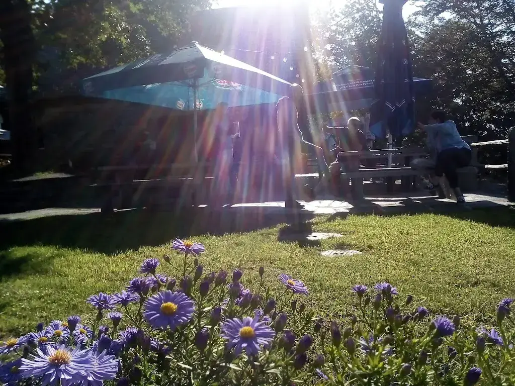 Ricki Kruger_Osteria Grotto Monti di Motti_Gordola_review