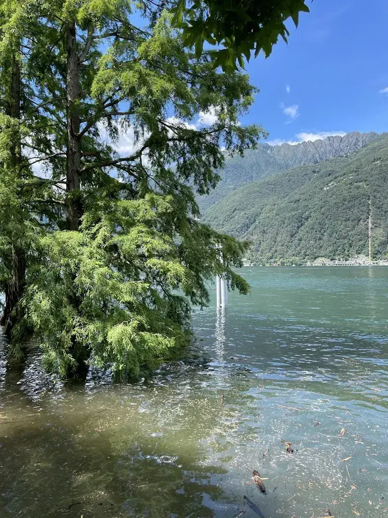 Alex Sinnerman_Ristorante Isole di Brissago_Brissago_recensione