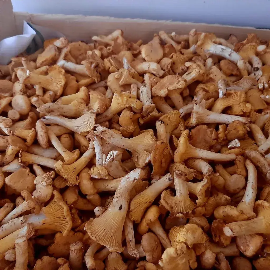 Menu_Bistro La Loco_Rochefort_image_6