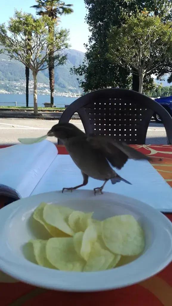 Menü_Trattoria del Lago di Manuela Buetti_Muralto_Bild_6