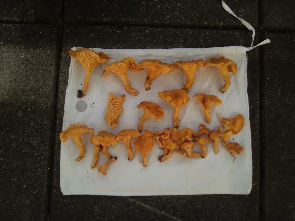 Menu_Restaurant de l'Etoile_Monthey_image_8