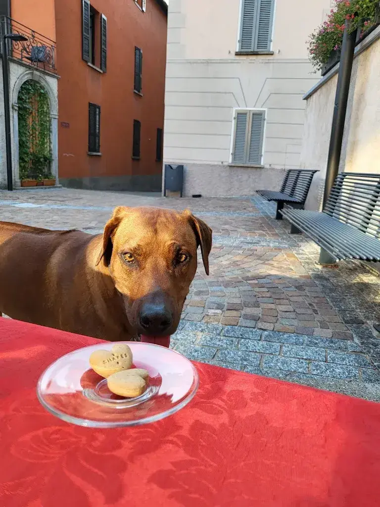 Sabine Hufschmidt_Cafe' de la Poste_Arogno_review