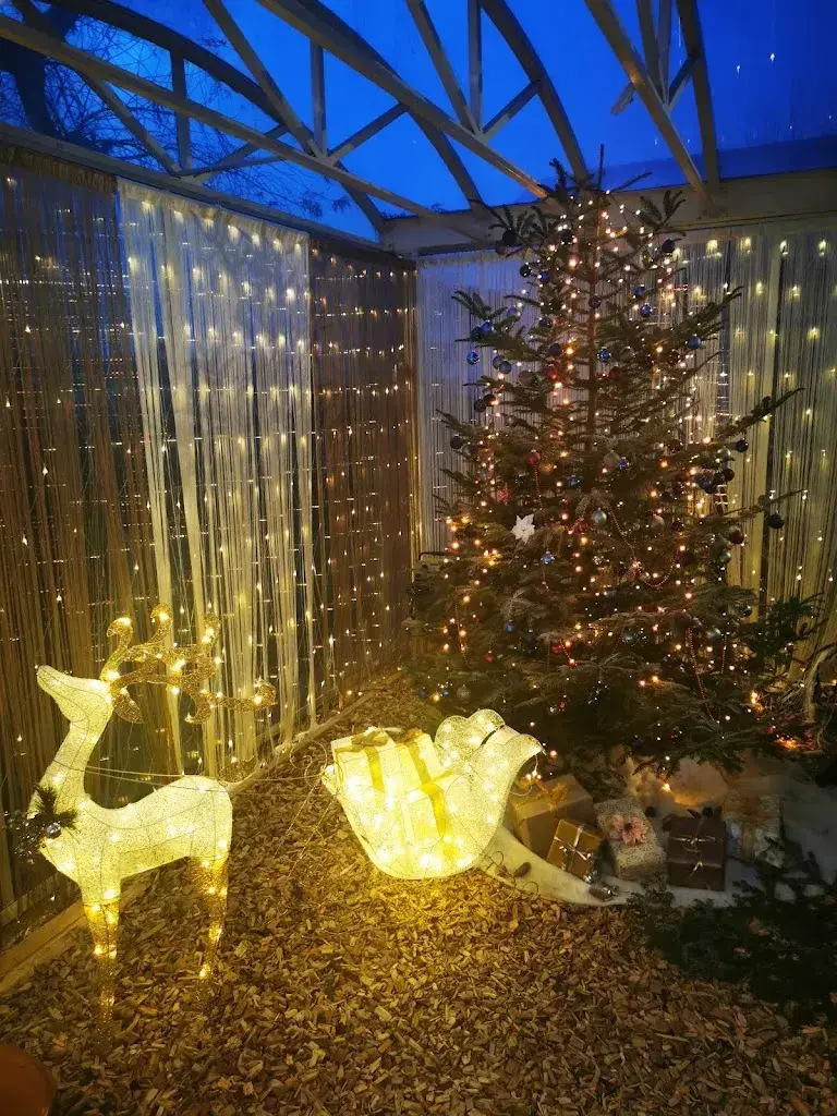 Naile Akyol_Gasthof Bären_Rüdtligen-Alchenflüh_recensione