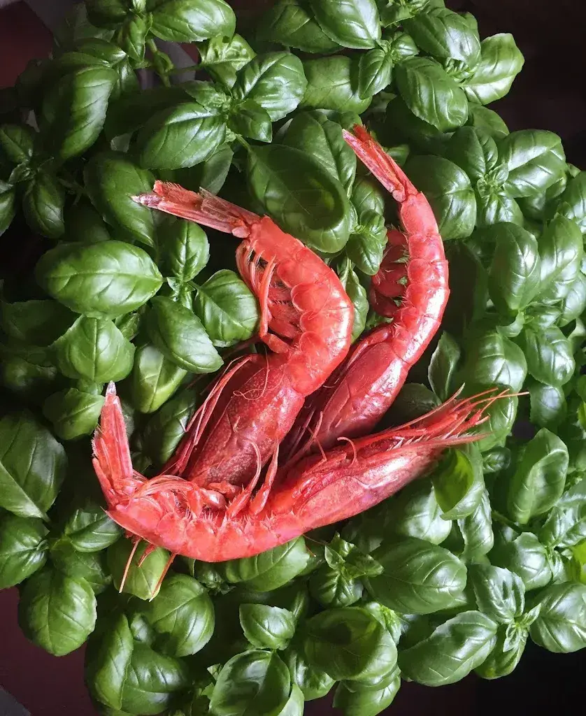 Menu_Osteria Concordia_Muzzano_image_9