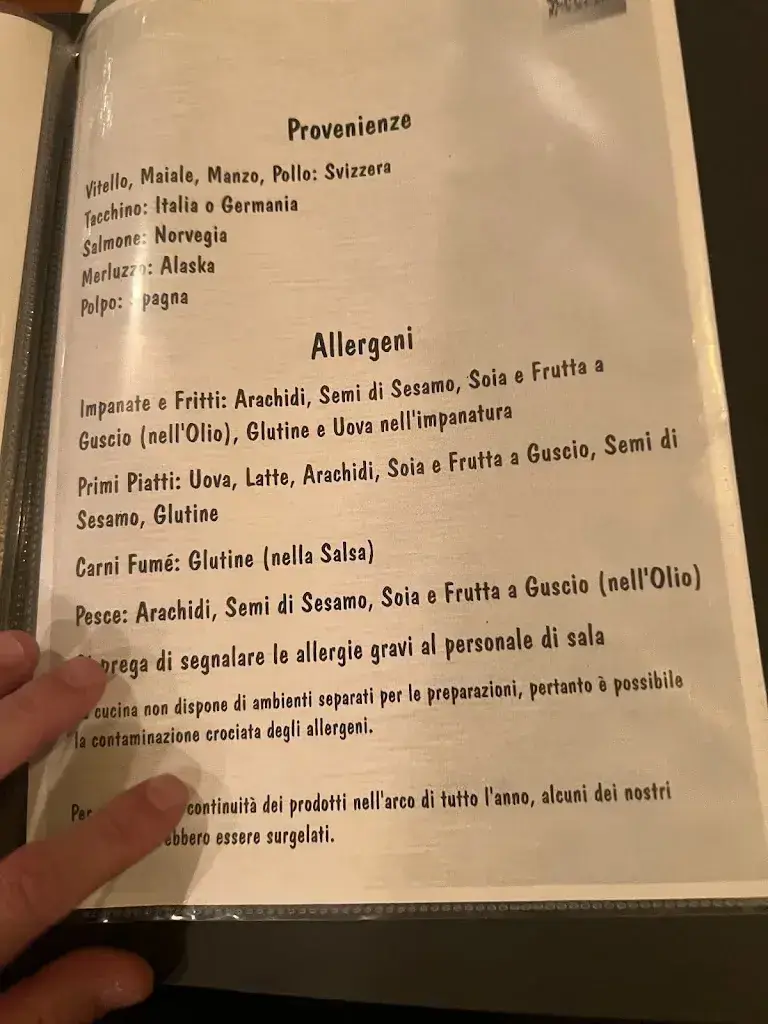 Menu_Ristorante Schnitzy_Massagno_image_2