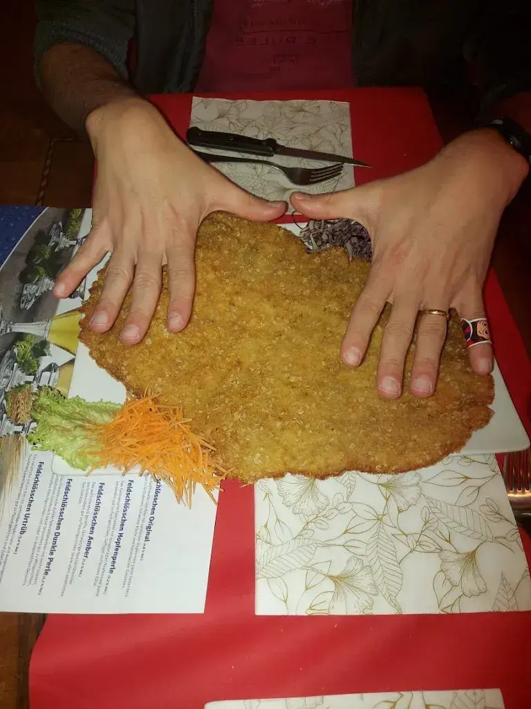 Rodolfo Moura_Ristorante Schnitzy_Massagno_review