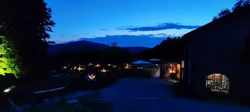 Alan Douard_Ristorante Vicania_Morcote_avis