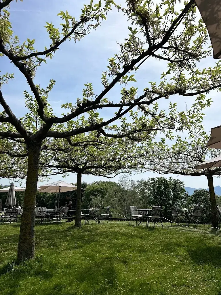 Laura Cusco_Ristorante Vicania_Morcote_avis