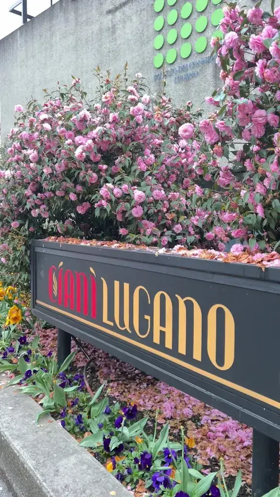 Chau Vo_Ciani Lugano_Lugano_review