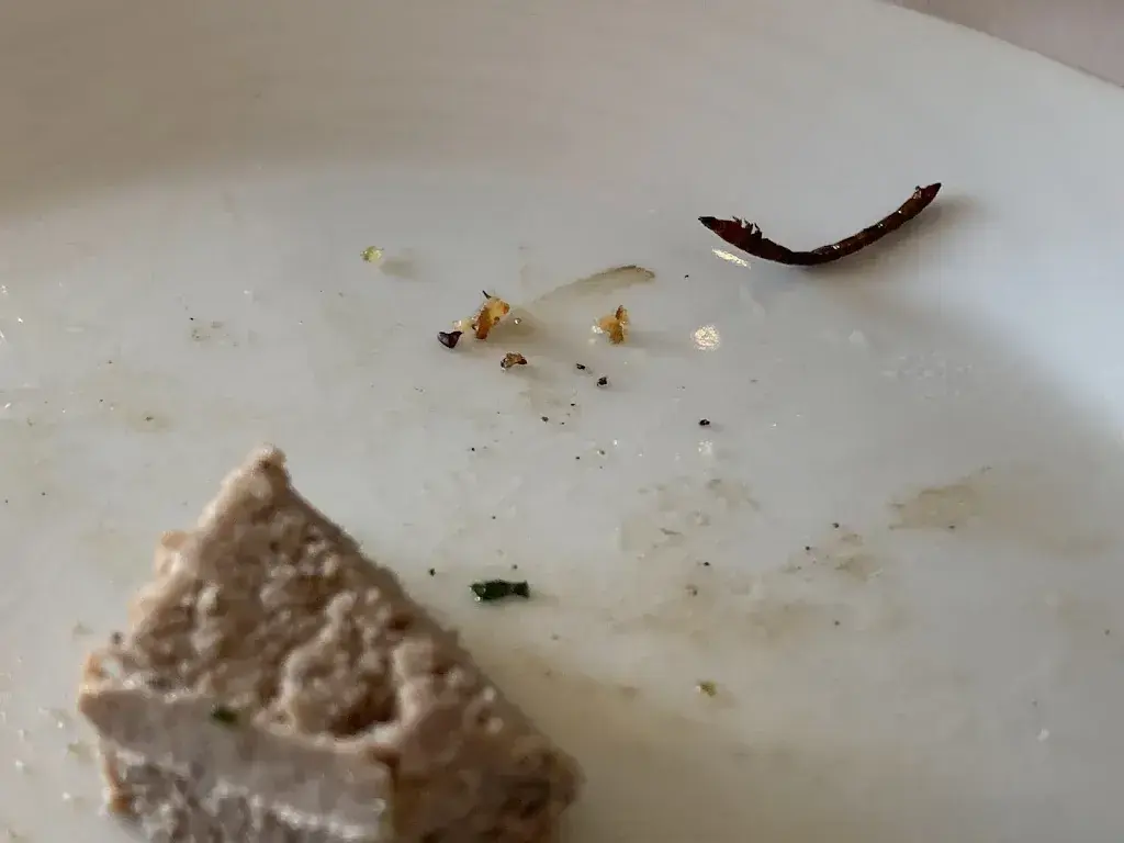 Sergiy Dynchev_Ristorante Giardino_Sorengo_review