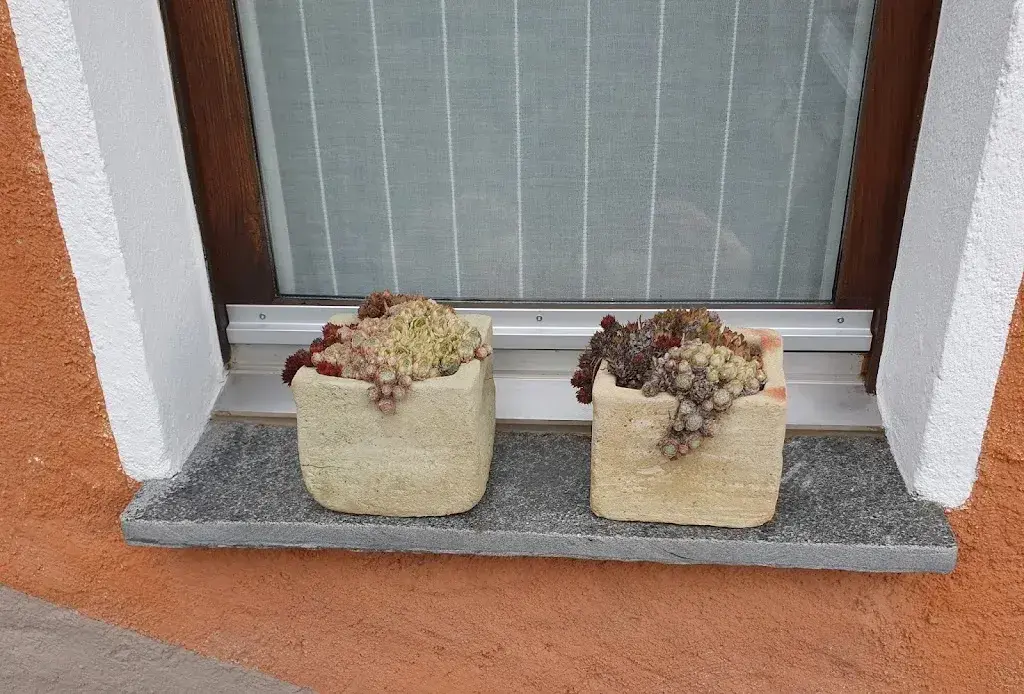 Menu_Washington_Maglio di Colla_image_5