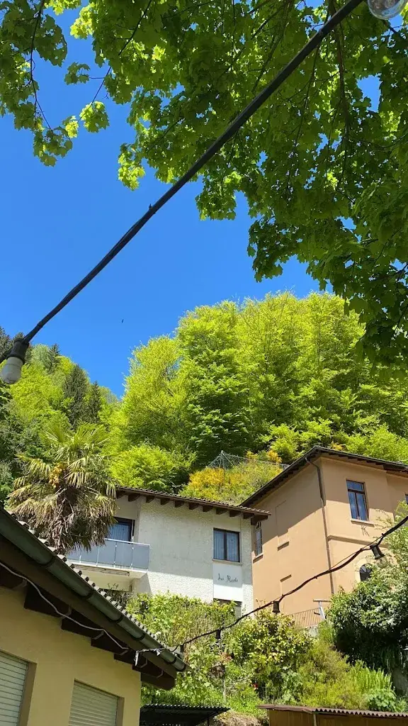 Alex Richard_Washington_Maglio di Colla_review