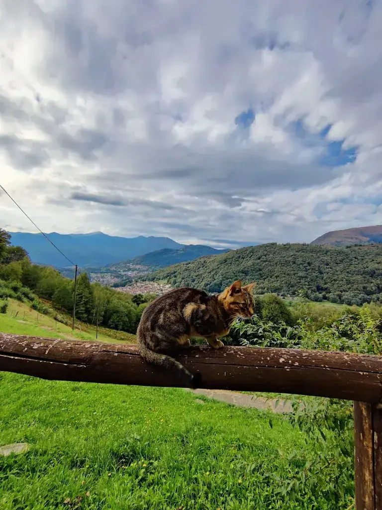 Natallia Reva_Grotto Monte Creda_Lugano_review