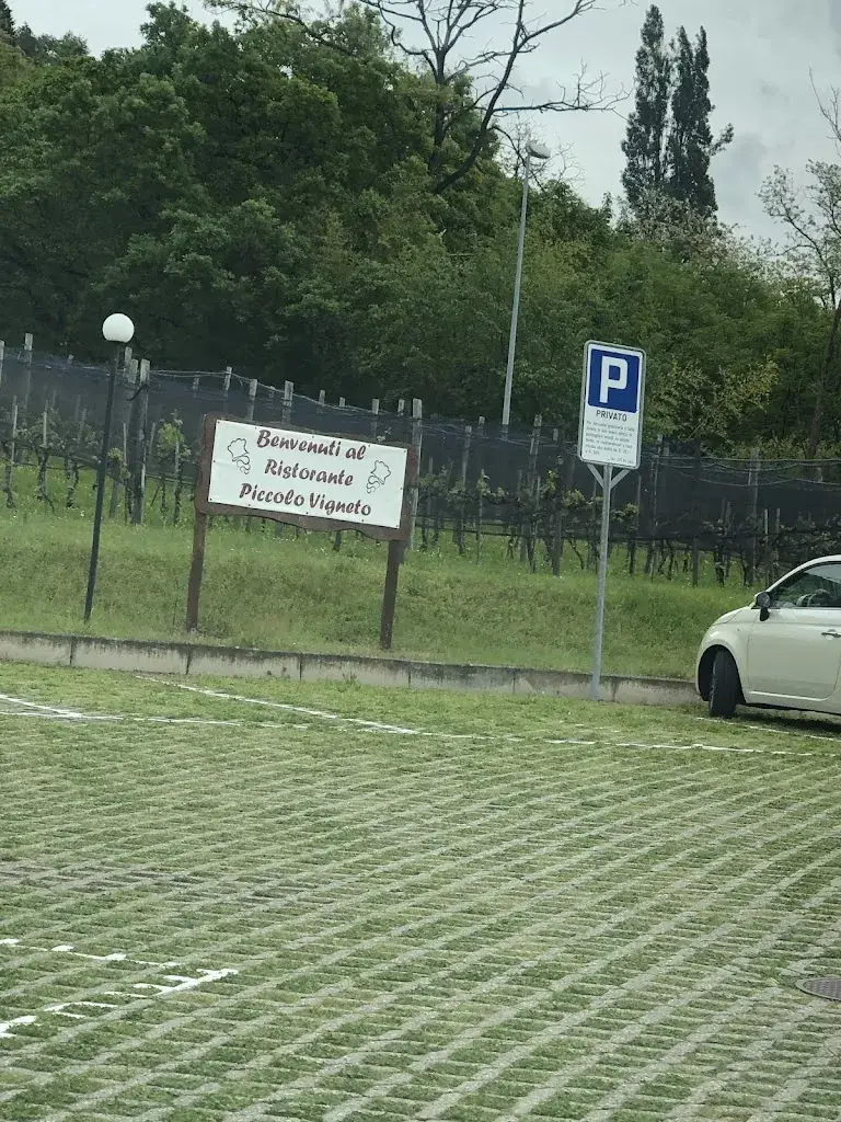 M H_Ristorante Piccolo Vigneto_Viganello_review