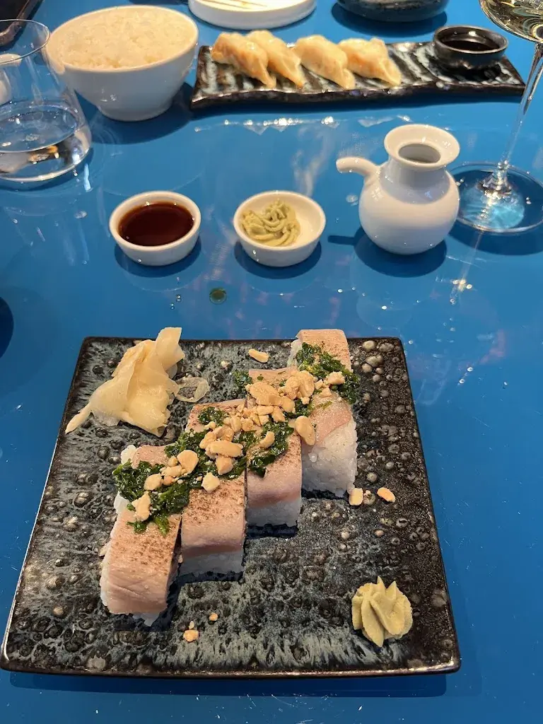 Heidi Elkjaer_Kohakinho_Lugano_review