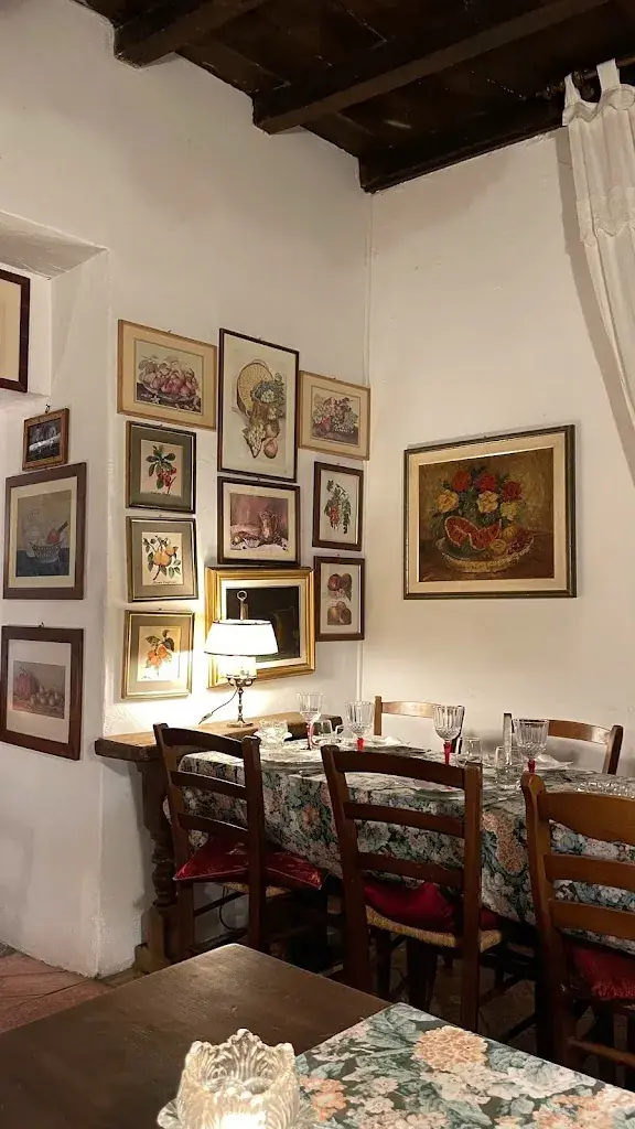 Jakub Falcon_Grotto Flora B&B_Agra_Bewertung