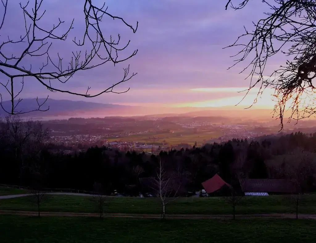 Dylan Meier_Hasenstrick - Restaurant & Hotel_Dürnten_avis