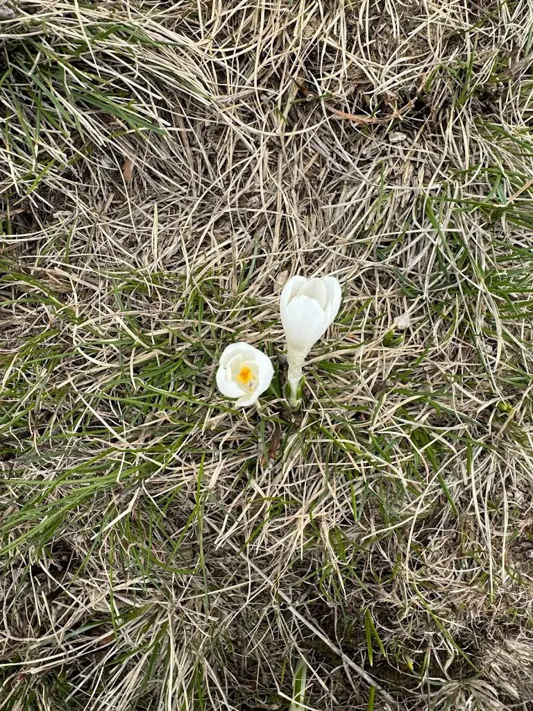 John Mather_Ristorante Lema 1624_Miglieglia_review