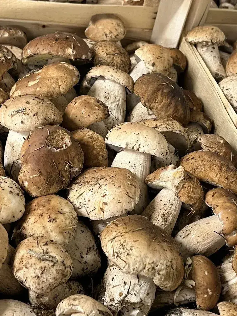 Menu_Ristorante Ticino_Rivera_image_6