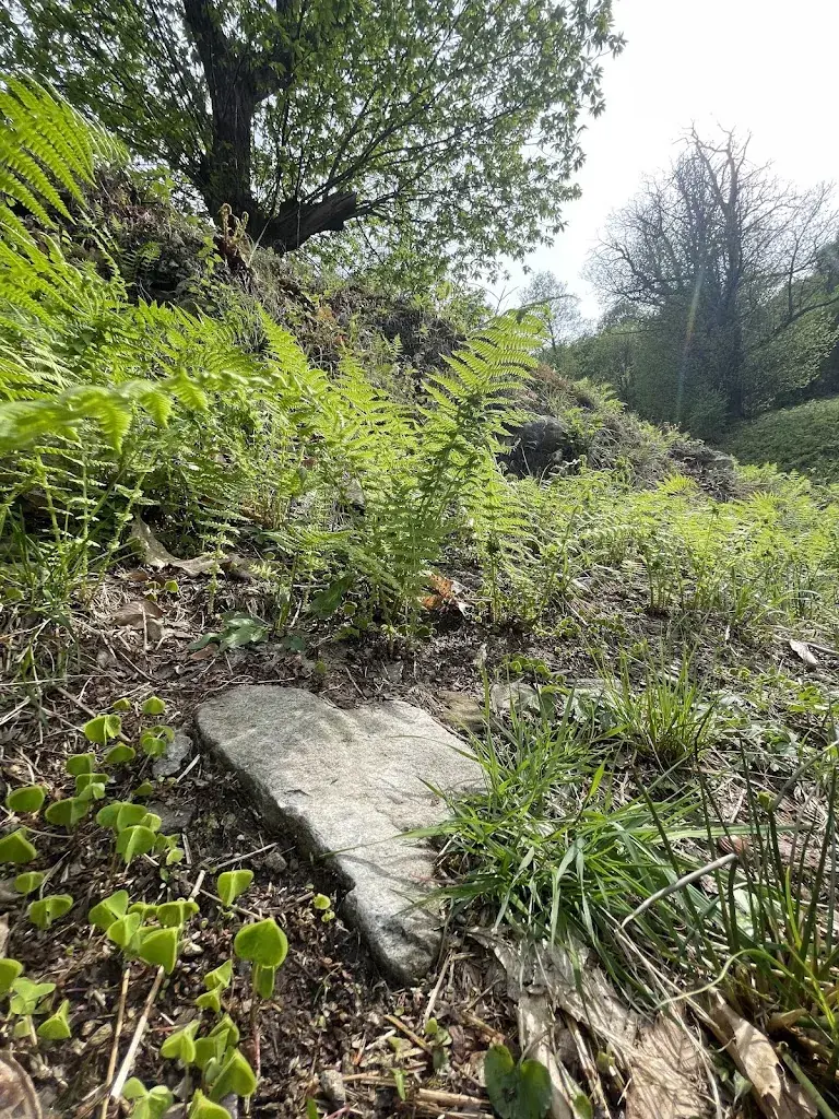 annie luetolf_Grotto al Ceneri Monte_Rivera_recensione