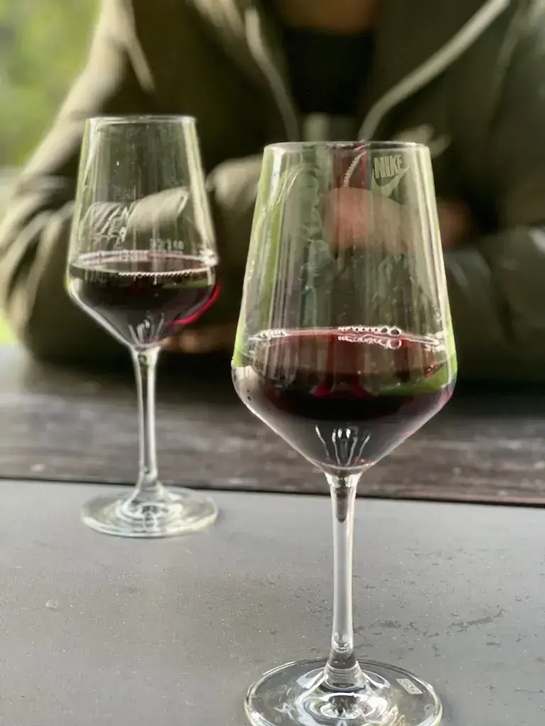 Kaye Tschabold_Ristorante Grotto Della Valle_Maroggia_review