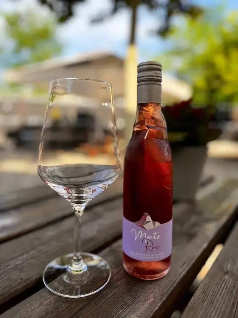 Simon Preisig_Ristorante Bar Centro_Monteggio_review