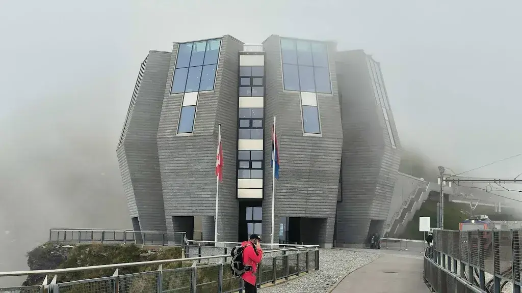 Ralph Brunner_Stone Flower_Capolago_review