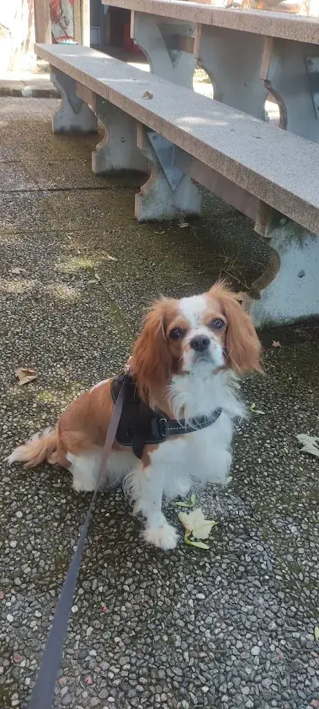 Paula Lara_Grotto Balduana_Castel San Pietro_review