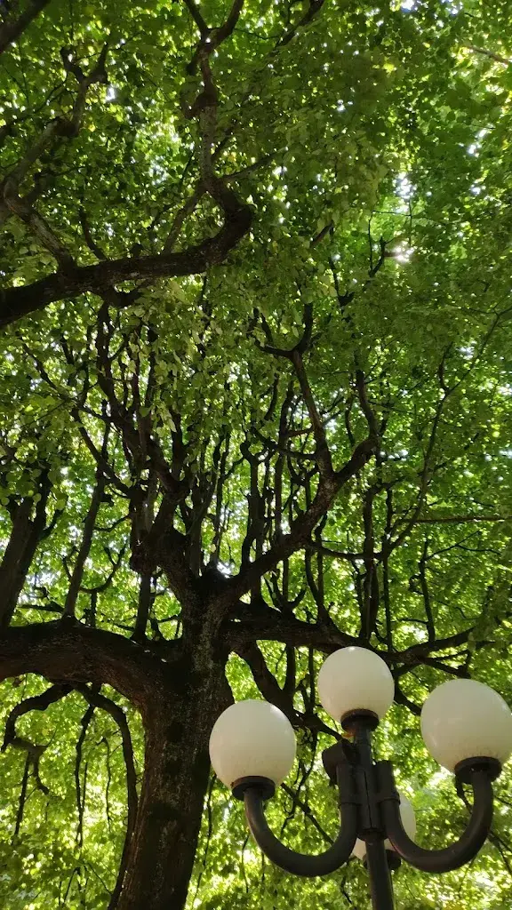 Marco Schiavo_Grotto Loverciano_Castel San Pietro_review