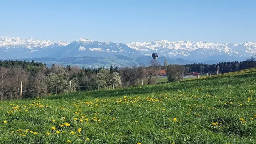 Michaela Weber_Alpwirtschaft Horben_Beinwil (Freiamt)_review