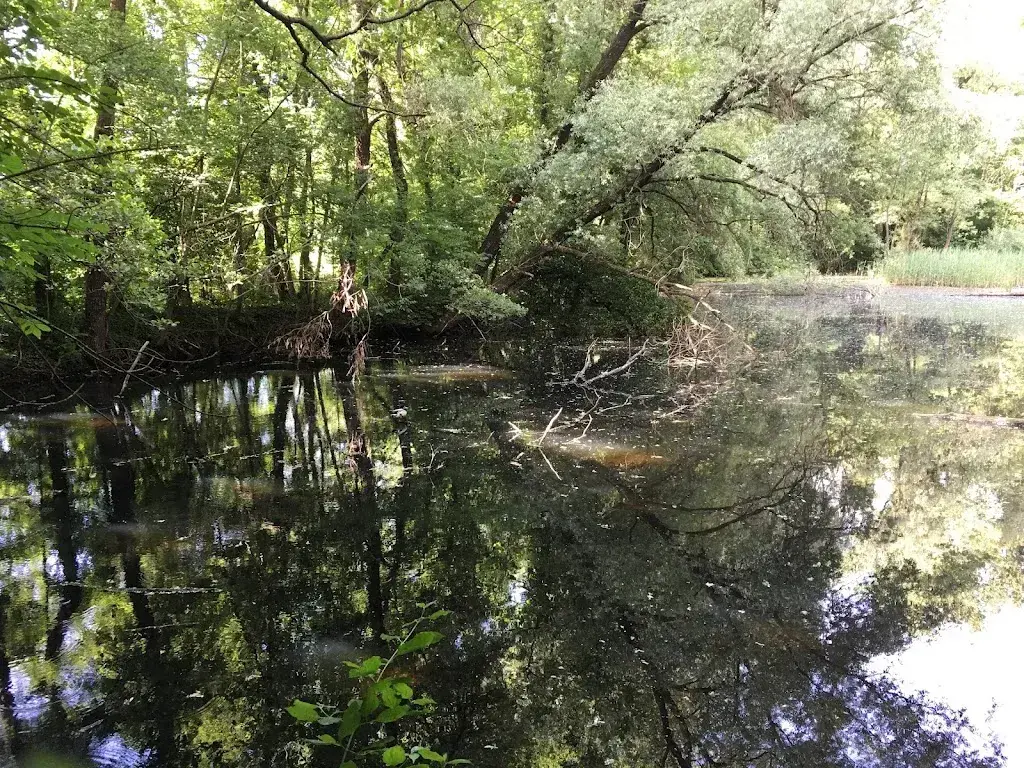 Dolores Cantoni_Osteria Santa Margherita_Stabio_recensione