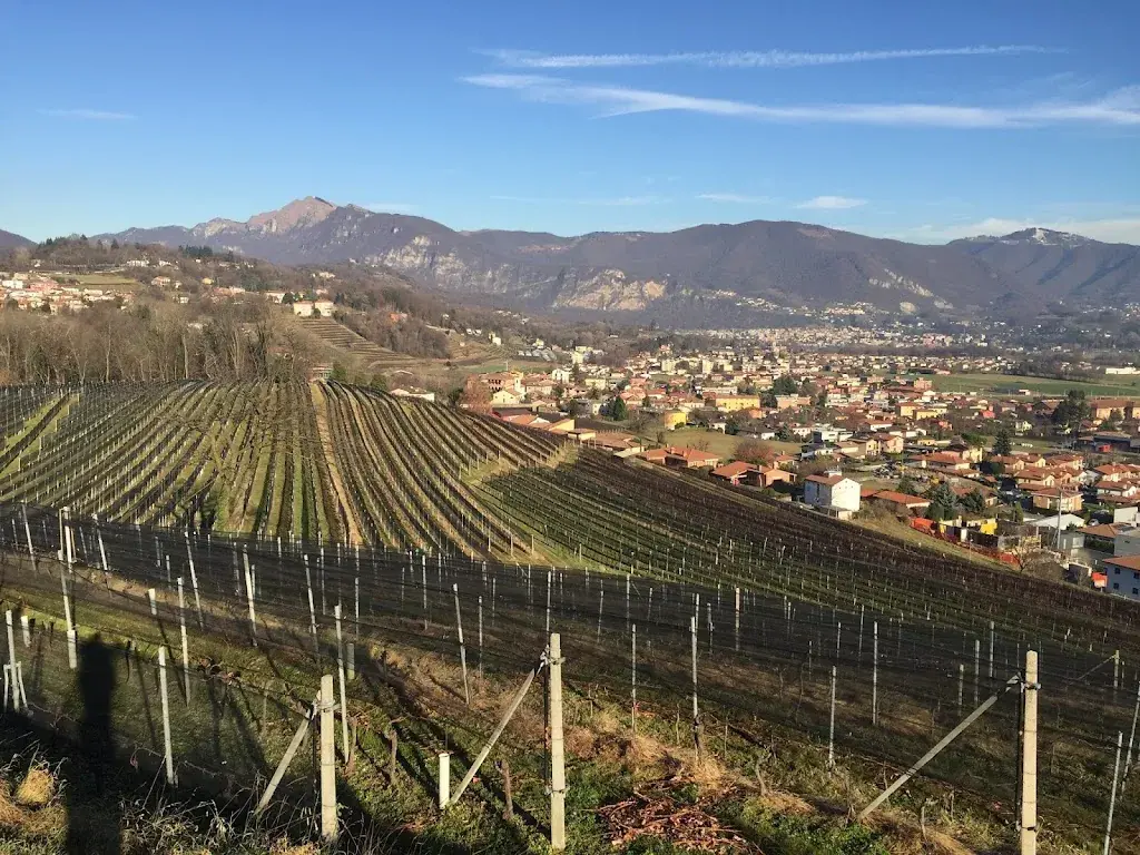 JF Genoud_Ristorante Montalbano by Mirko Rainer_Stabio_recensione