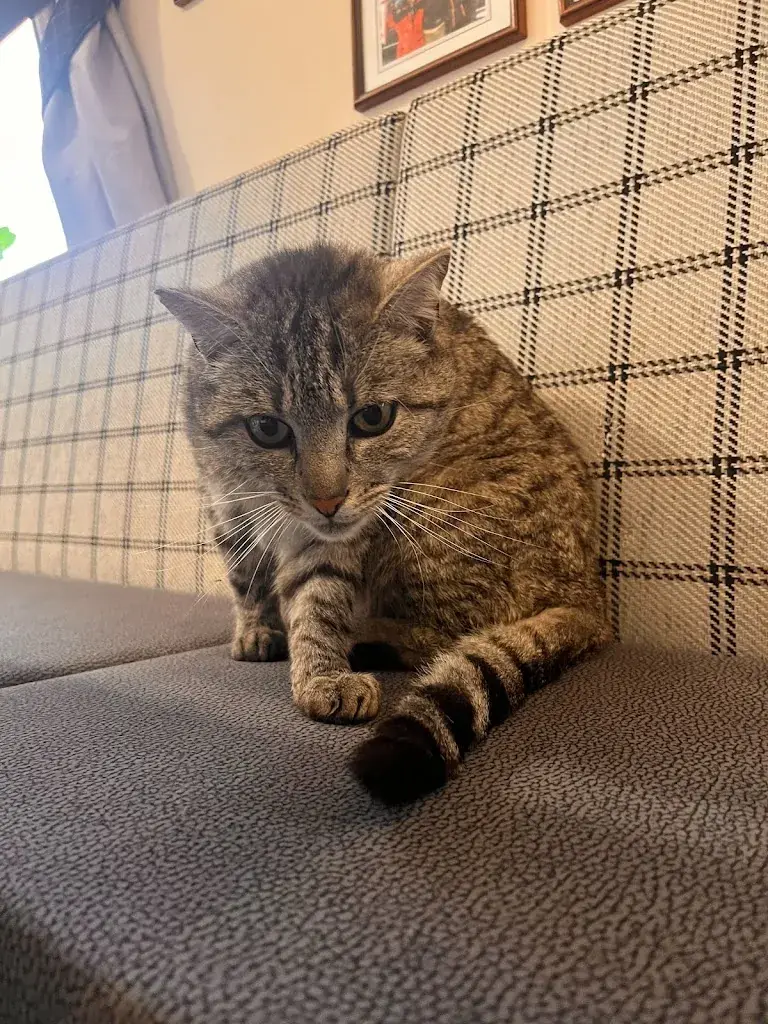 V T_Rifugio Molignon_Italy_review