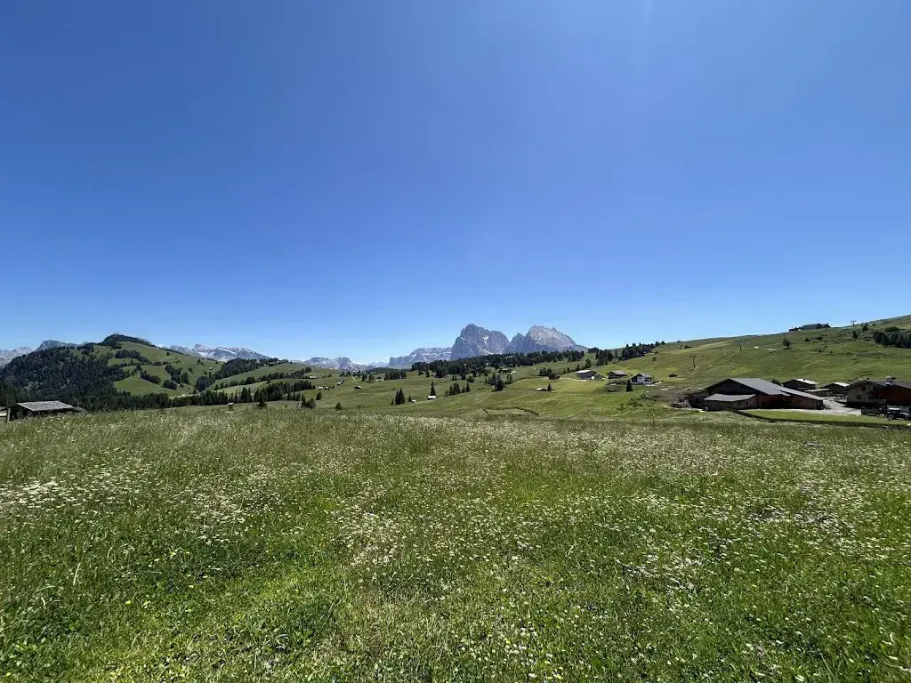 sarah afifi_Nordic Bar & Restaurant_Italy_review