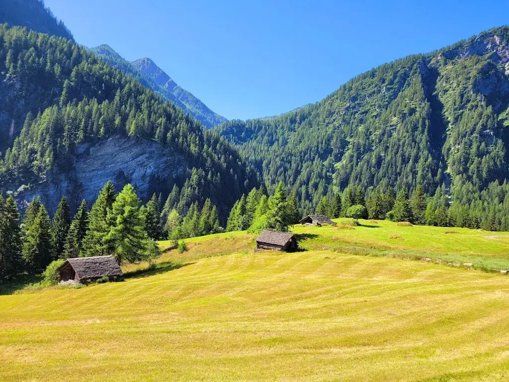 Brunella Cavalli_Cimalmotto_Campo (Vallemaggia)_recensione