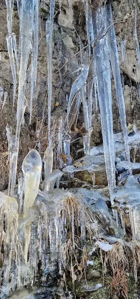 Daniele (Dany)_Cimalmotto_Campo (Vallemaggia)_recensione