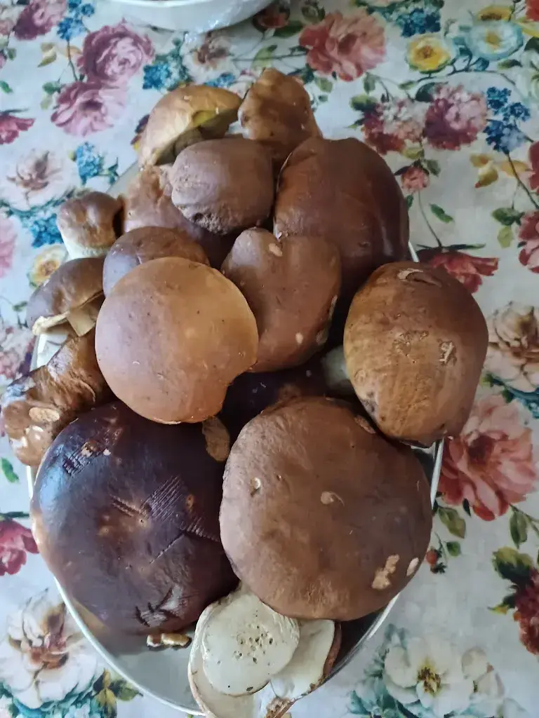 Menu_Osteria Centrale_Cerentino_image_2